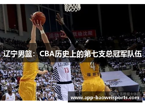 辽宁男篮：CBA历史上的第七支总冠军队伍